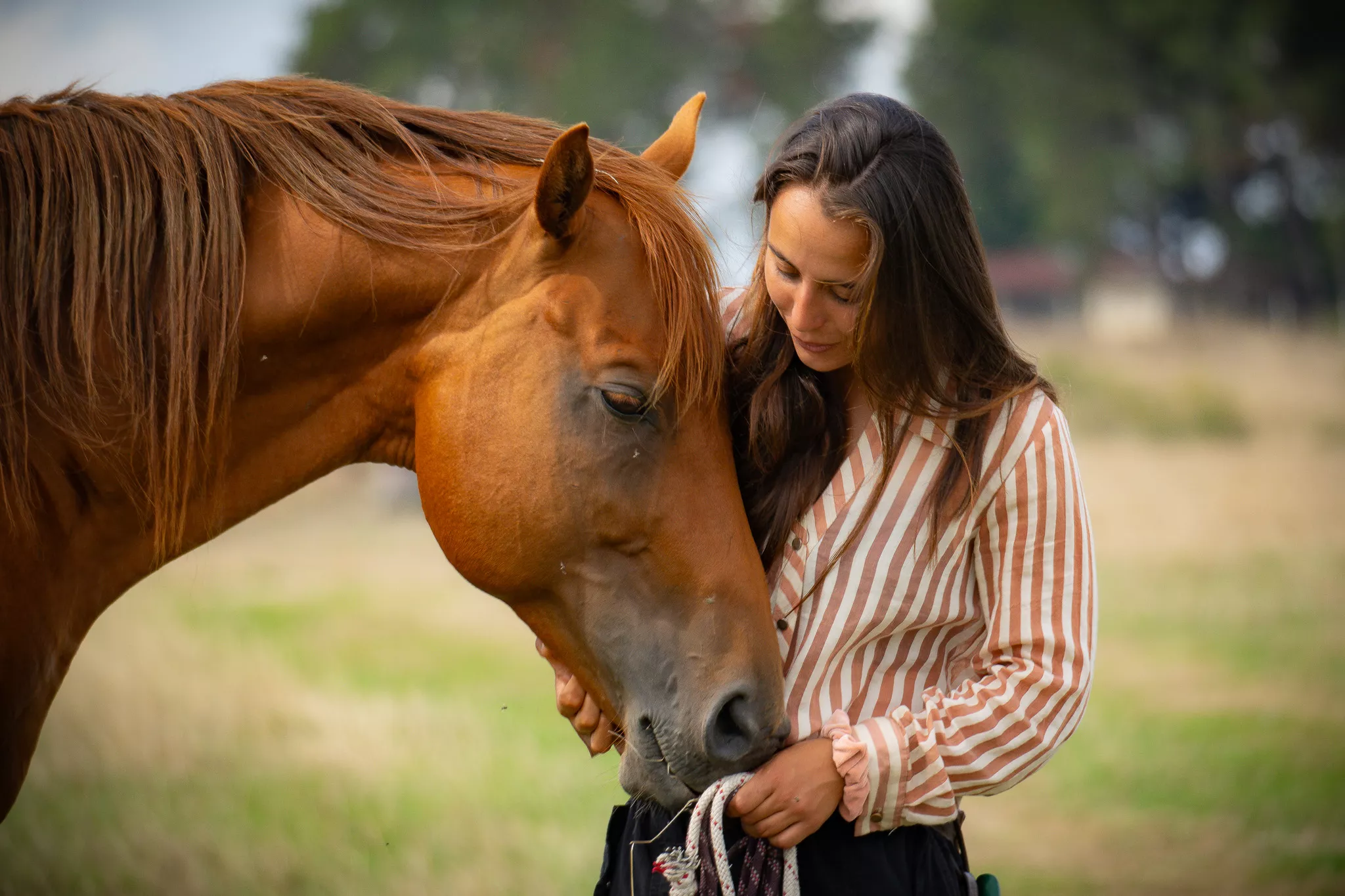 hera конна база